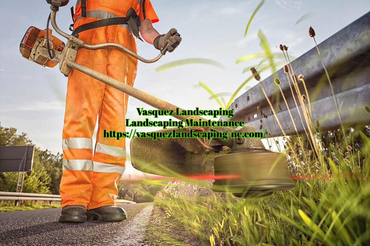 Vasquez Landscaping, Landscaping Maintenance in Rocky Point, NC 211 Hearthside Dr, Rocky Point North Carolina 28457