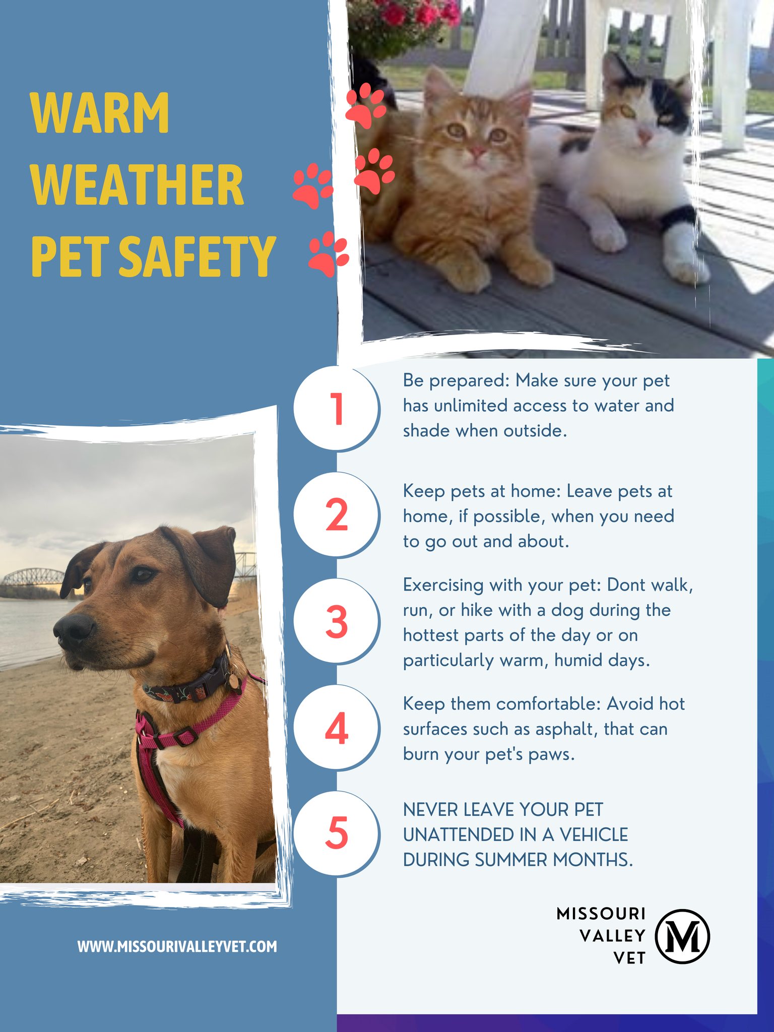 Missouri Valley Clinic Bismarck