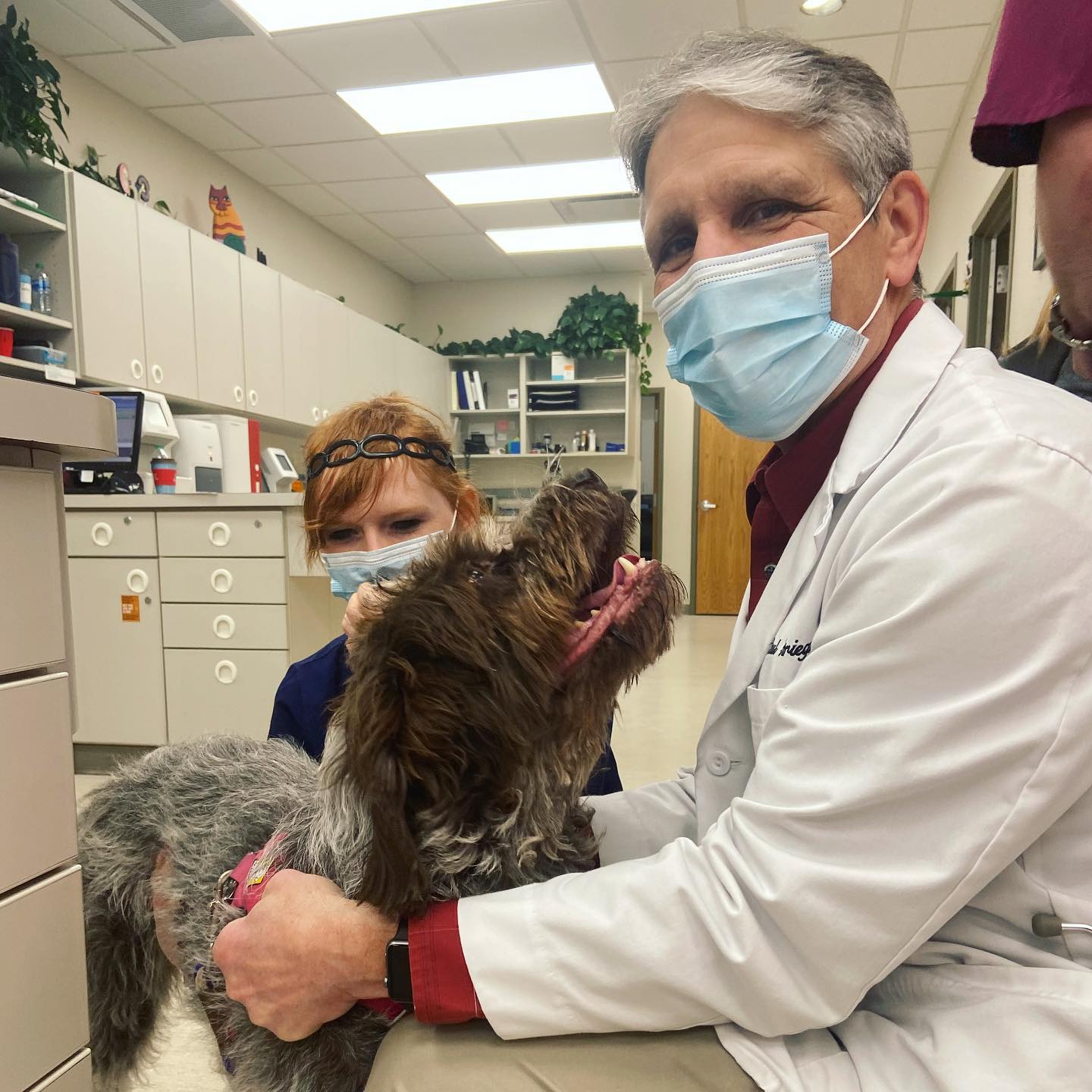 Animal Health Clinic: Mahlen Heather DVM Fargo