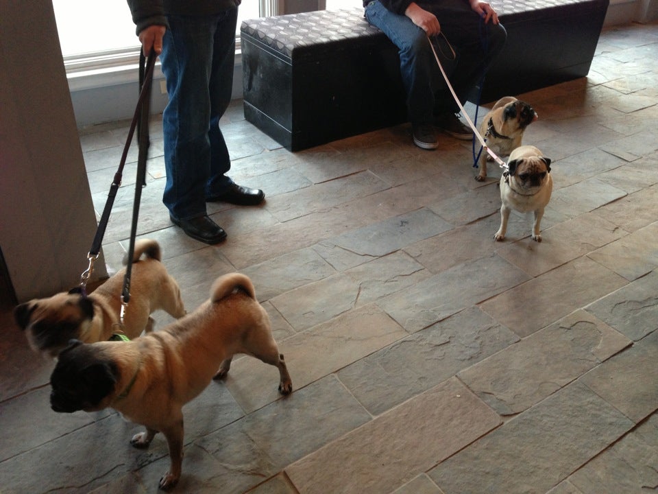 Photo credit: yellowpages