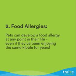 Arbor Veterinary Services, A Thrive Pet Healthcare Partner