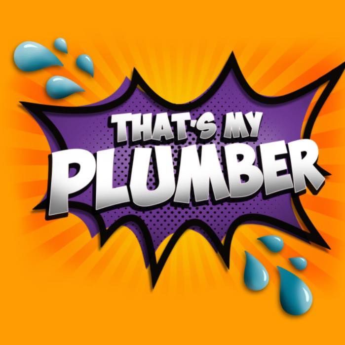 That's My Plumber 1130 Ship Ave, Beachwood New Jersey 08722