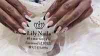 Lily Nails And Spa Inc