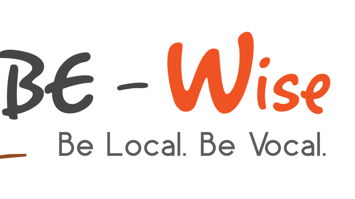 Be Wise LLC