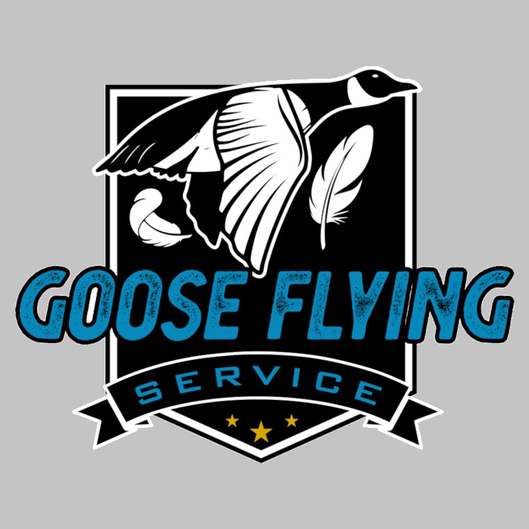 Goose Flying Service 10106 100 St, Fort Simpson Northwest Territories X0E 0N0