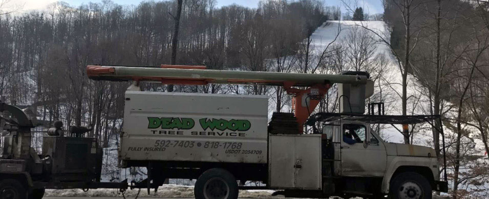 Deadwood Tree Service 9825 Middle Rd, East Concord New York 14055