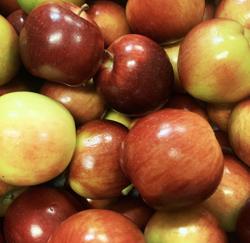 Pavero Apples and Farms