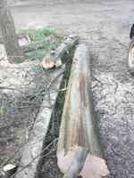 Mike's Tree Service & Landscaping, LLC