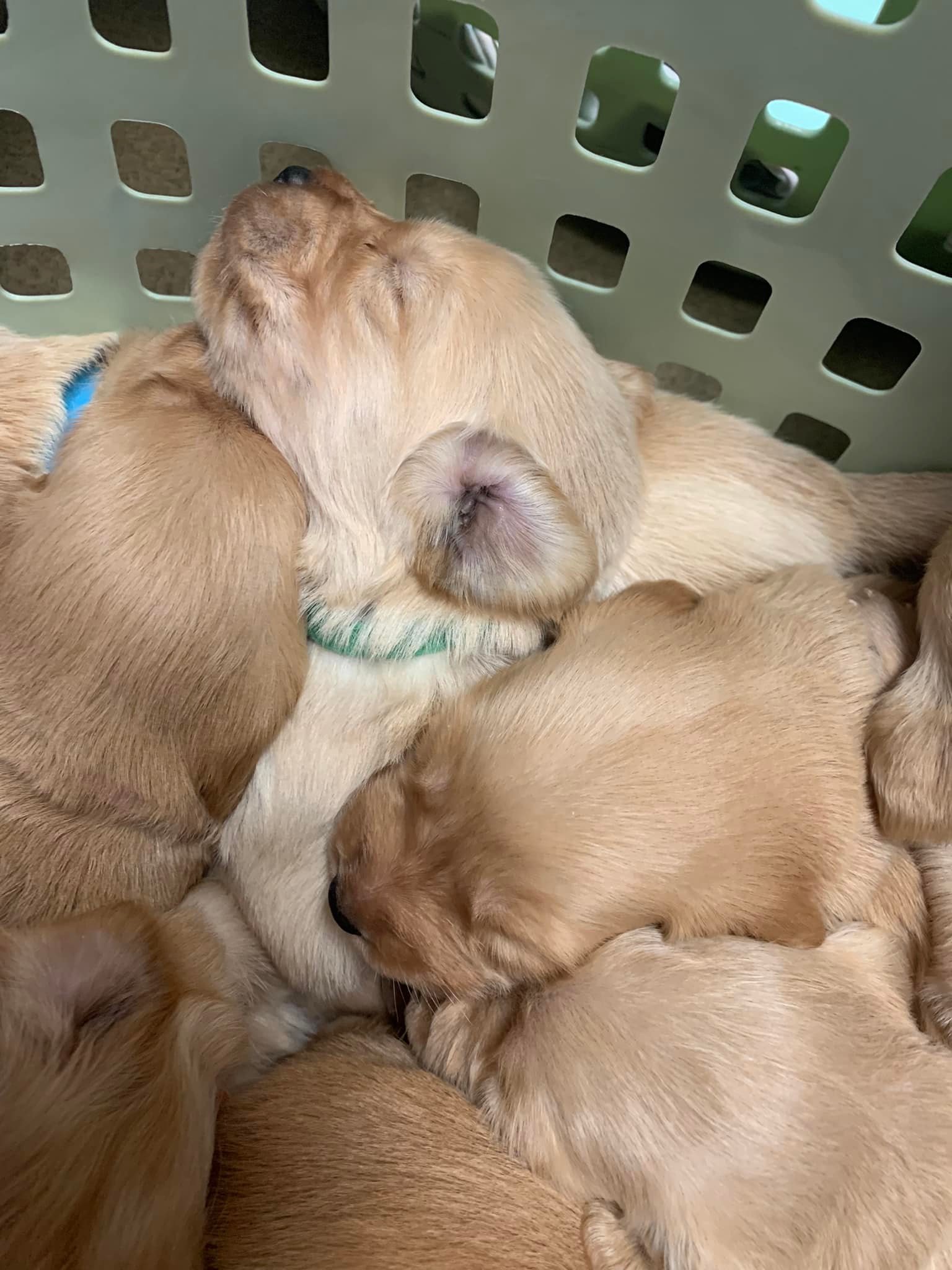 Country Roads Veterinary Services Ashland