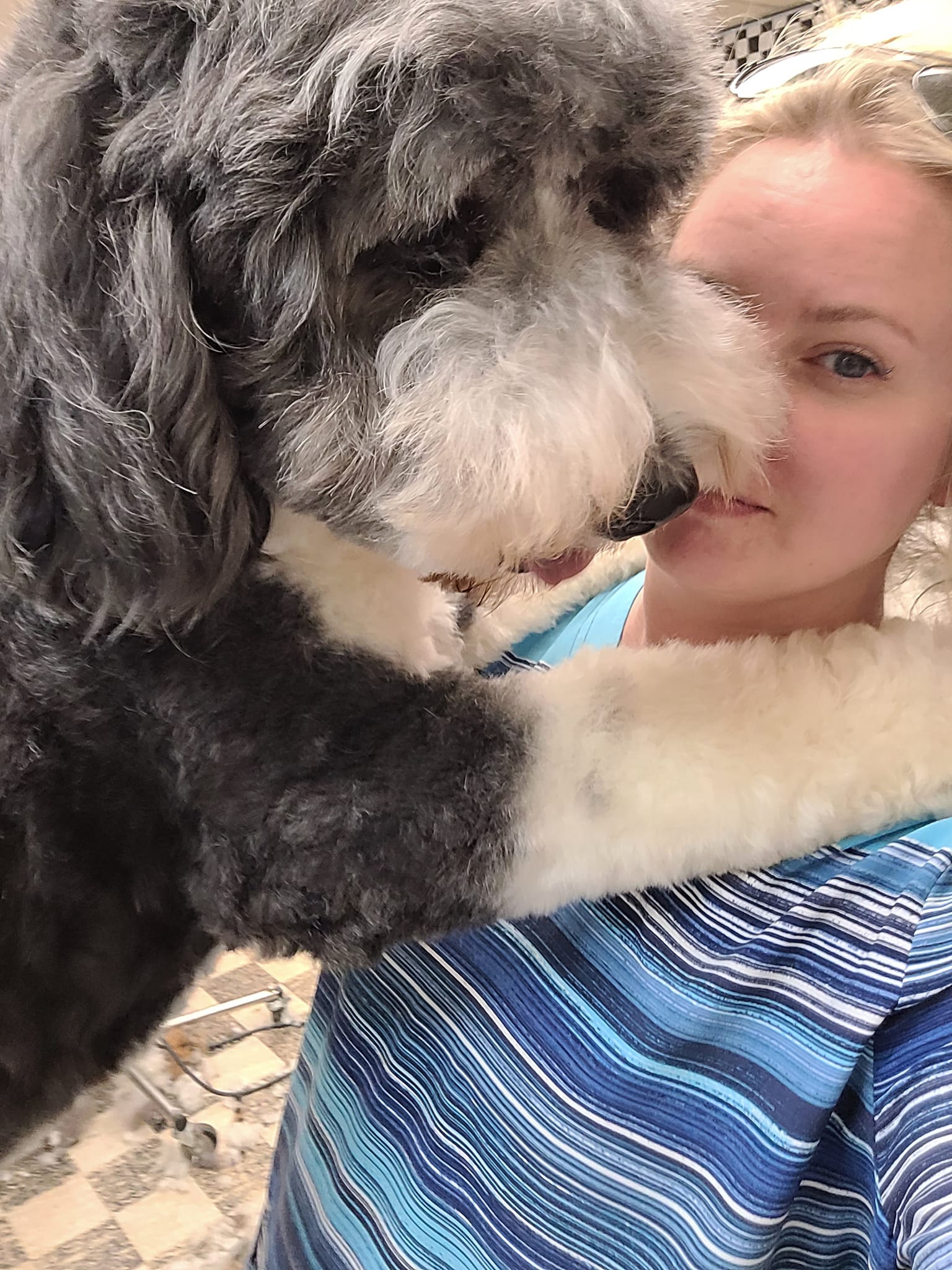 The Groomery Chagrin Falls