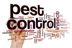 Delhi Pest Control