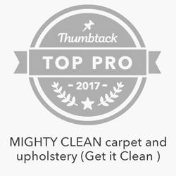Mighty Clean carpet and upholstery cleaning