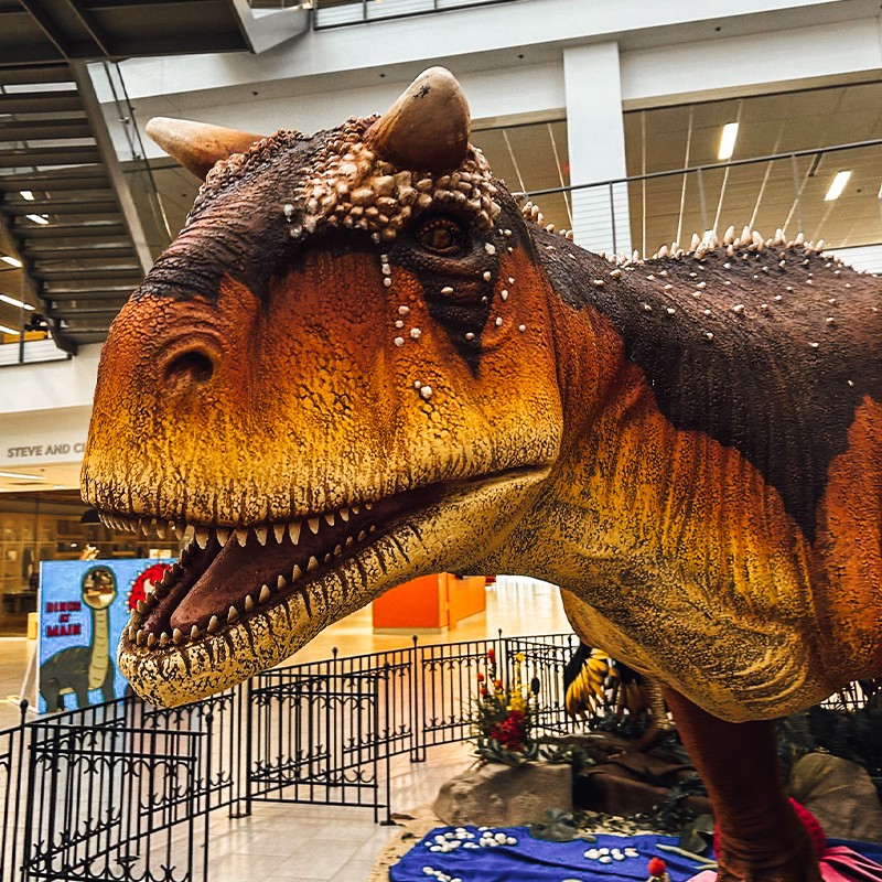 columbus-metropolitan-library-columbus-oh-hours-directions