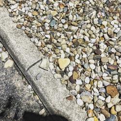 Brows And Winks Beauty Lounge