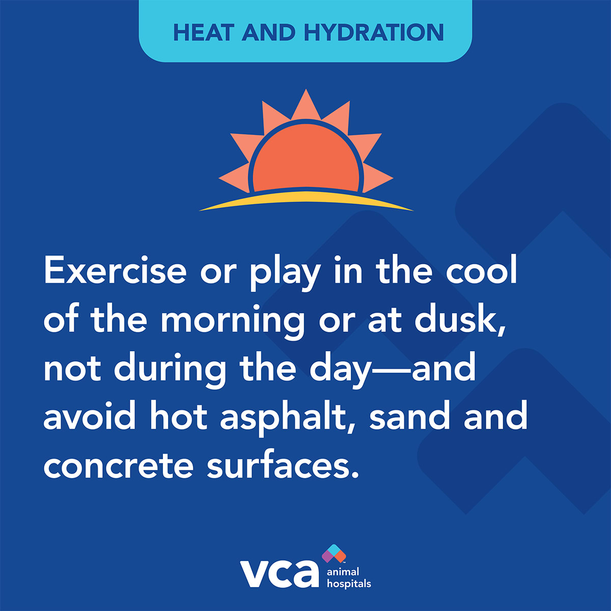 Findlay Animal Hospital: Calland D L DVM Findlay