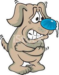 Mazza's Heating & Cooling, Ltd.