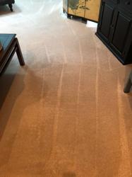 South Dayton Carpet Cleaning