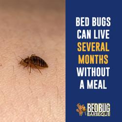 Bed Bug BBQ - Cleveland, OH - Bed bug Removal, Extermination, Whole House Clean Out