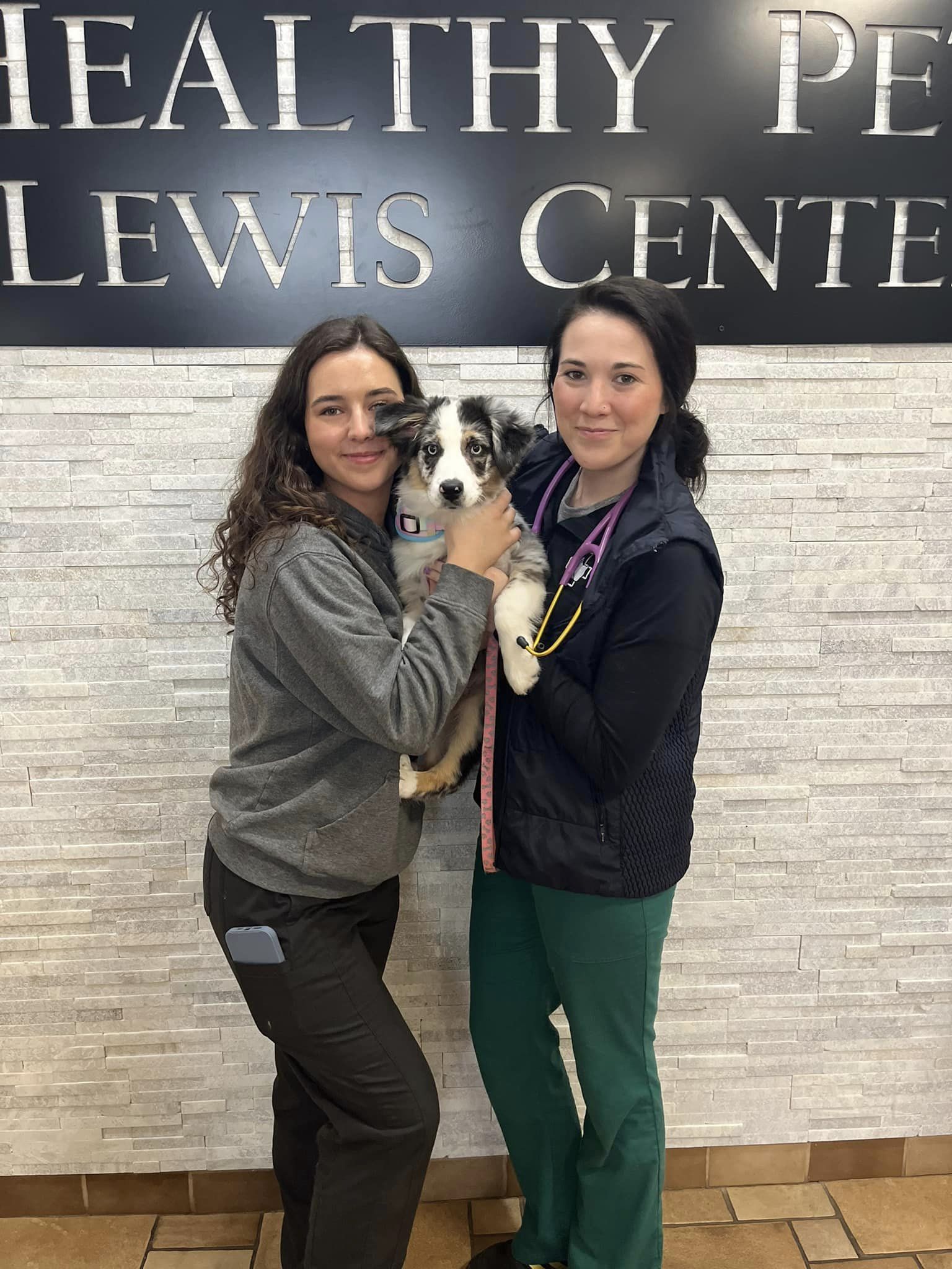 Healthy Pets of Lewis Center Lewis Center