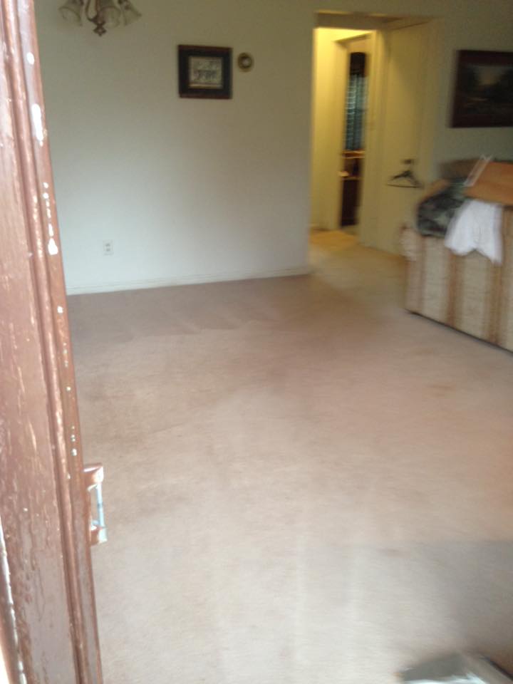 PowerMax Carpet & Upholstery Cleaning Lyndhurst Ohio 