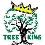 Tree king tree service