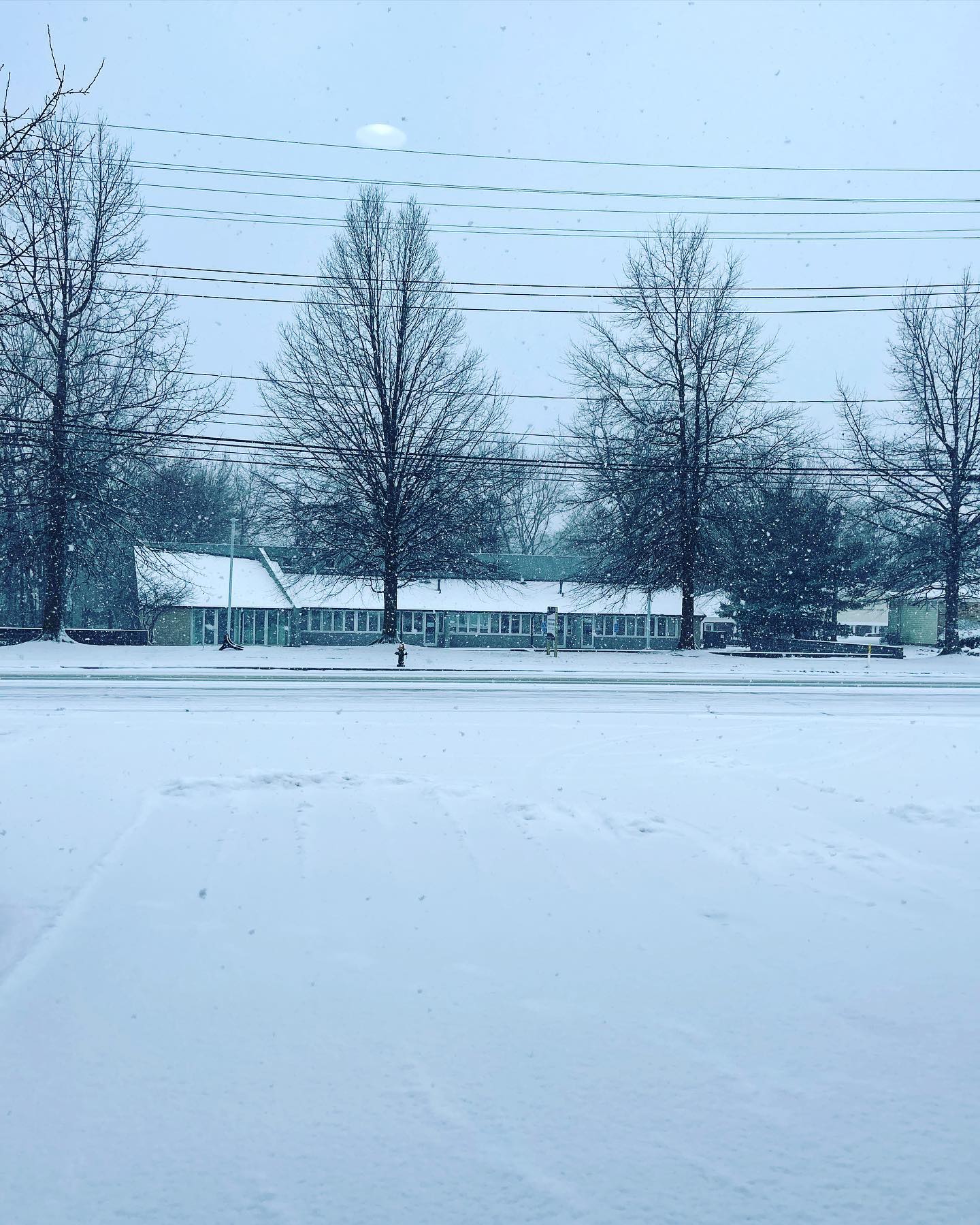 Scissors & Suds Pet Grooming Westlake