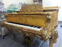 Exclusive Piano & Organ