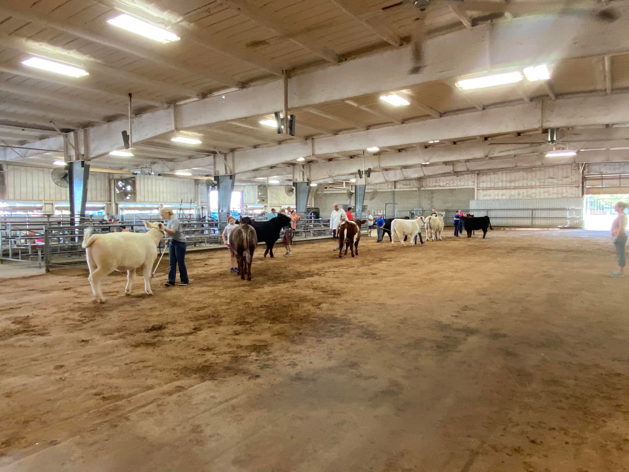 Stierwalt Cattle & Clinics 8501 OK-34, Leedey Oklahoma 73654