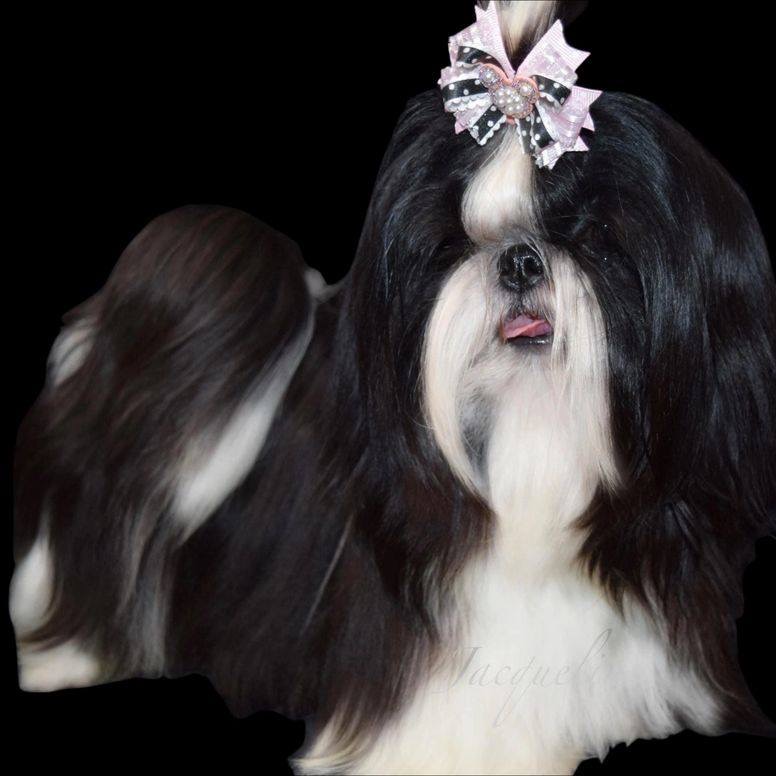 Photo credit: loc8nearme