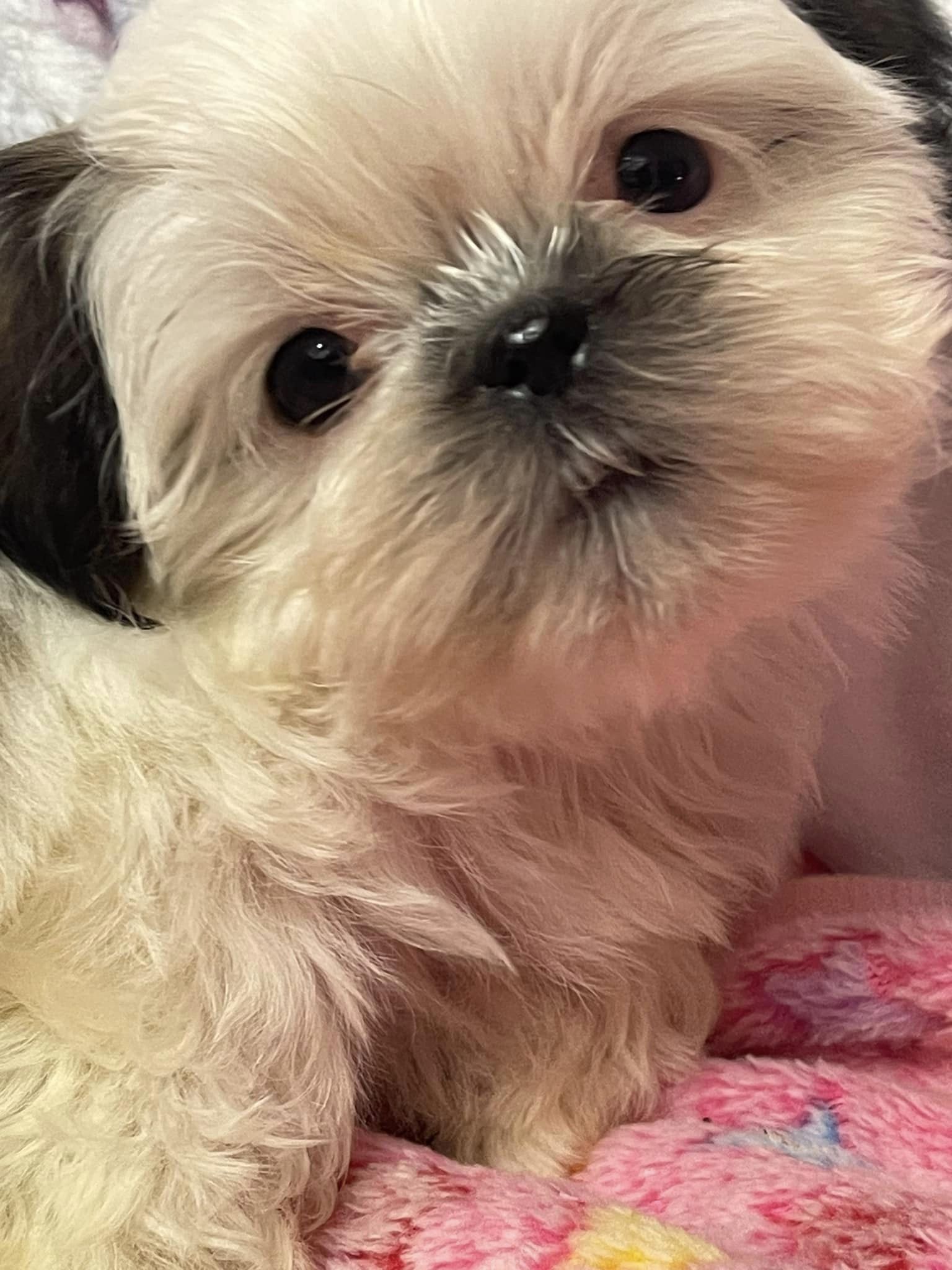 Photo credit: loc8nearme