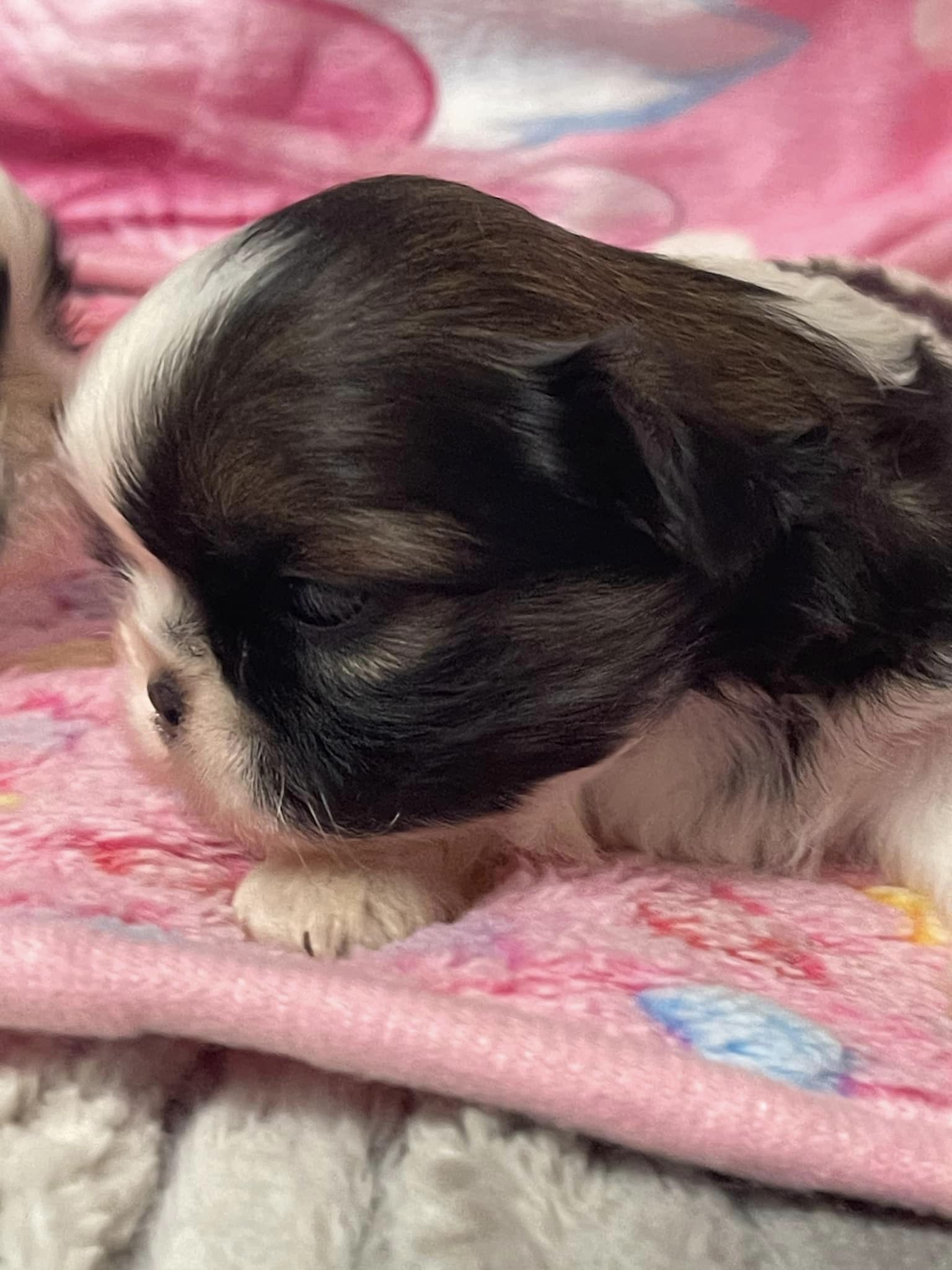 Photo credit: loc8nearme