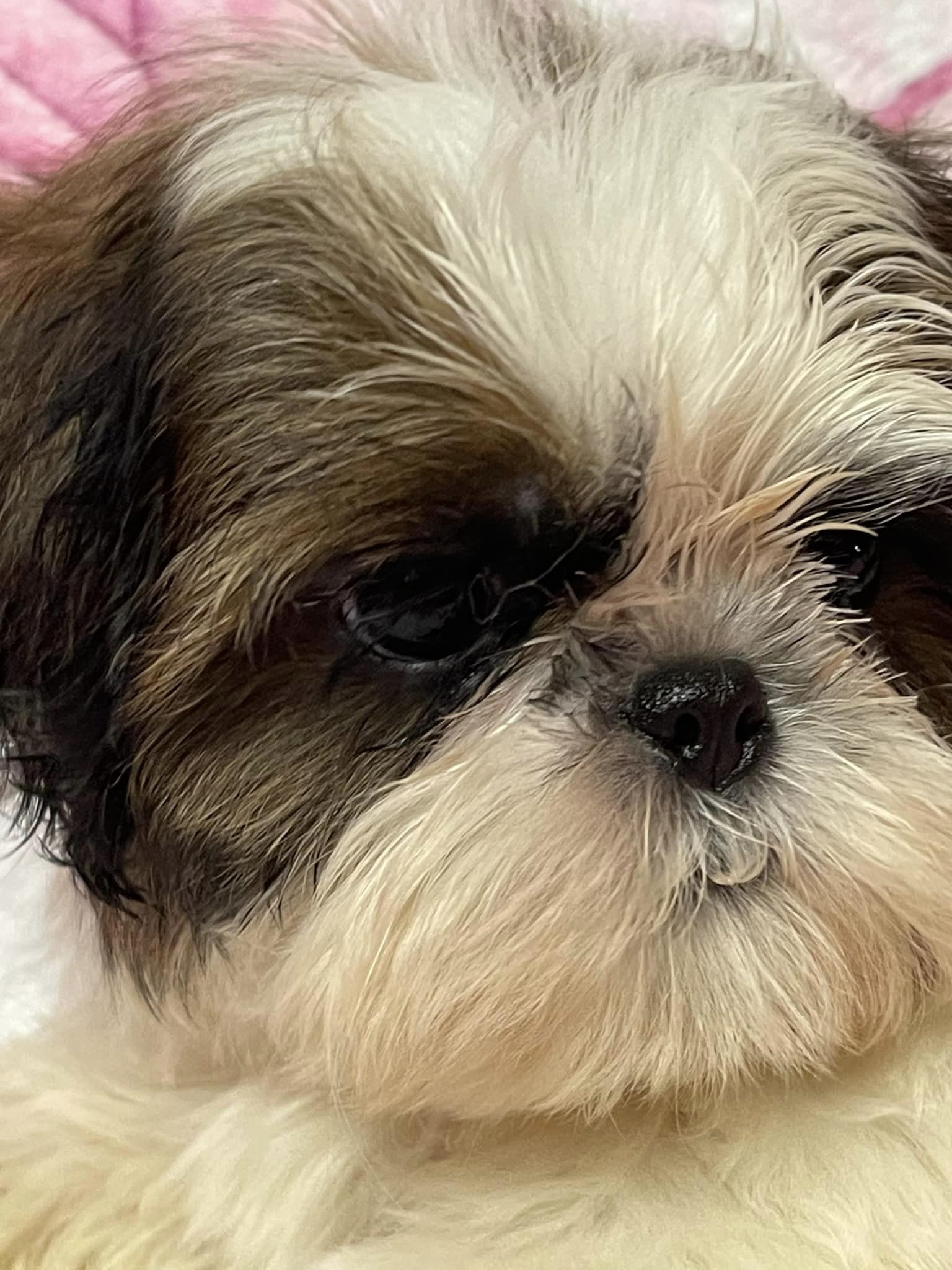 Photo credit: loc8nearme