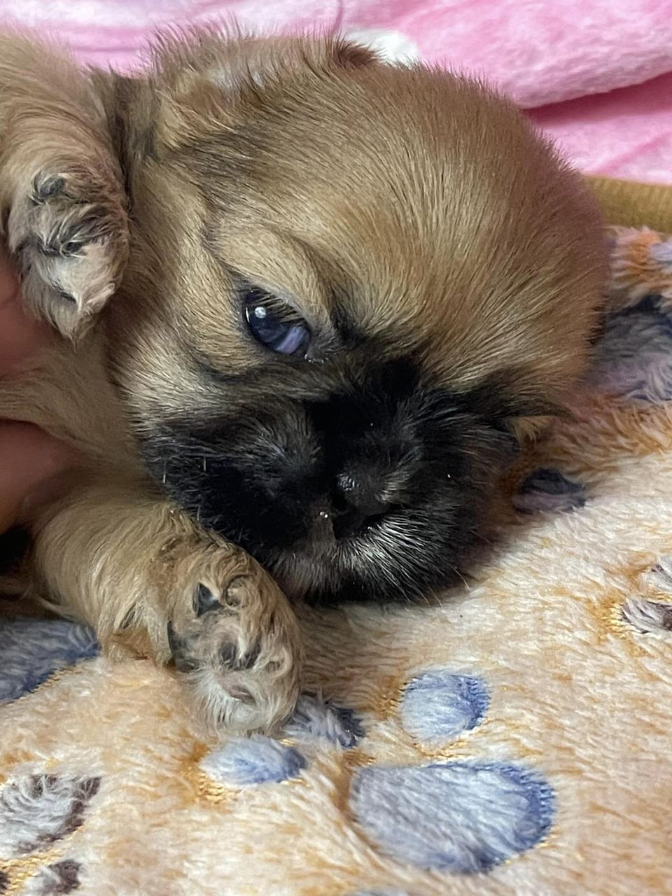 Photo credit: loc8nearme