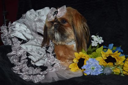 Photo credit: loc8nearme