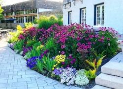 A Woman's Touch Landscaping