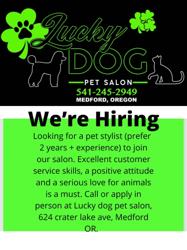 Lucky Dog Pet Salon