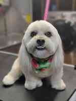 Up Dog Grooming