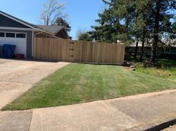 Bright Lawn Landscape Maintenance LLC