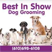 Best in Show Pet Grooming