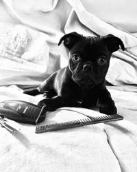 Salon Salvatore Christian