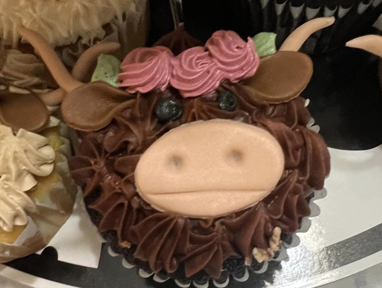 Photo credit: restaurantji