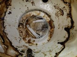 Wizzard Drain Cleaning