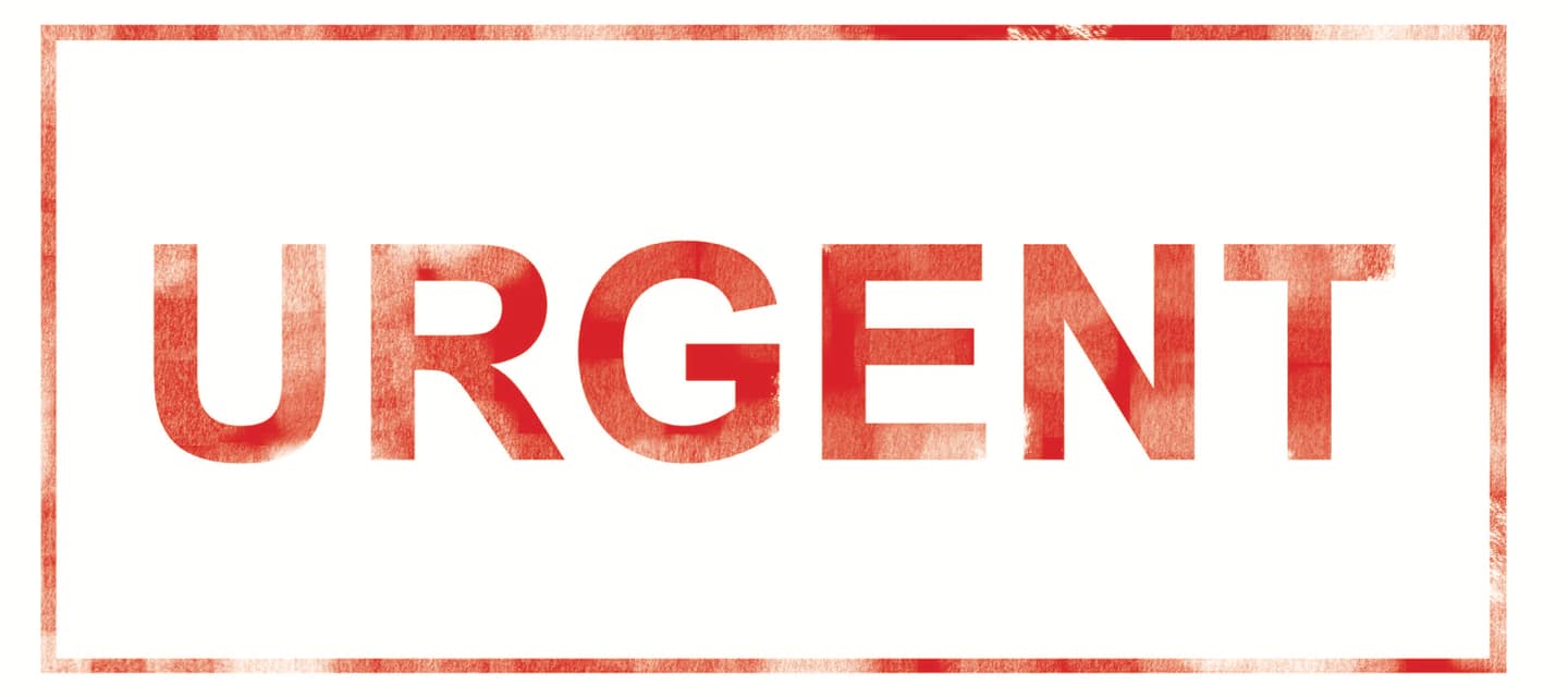 Old Location: West Side Veterinary Hospital Kingston