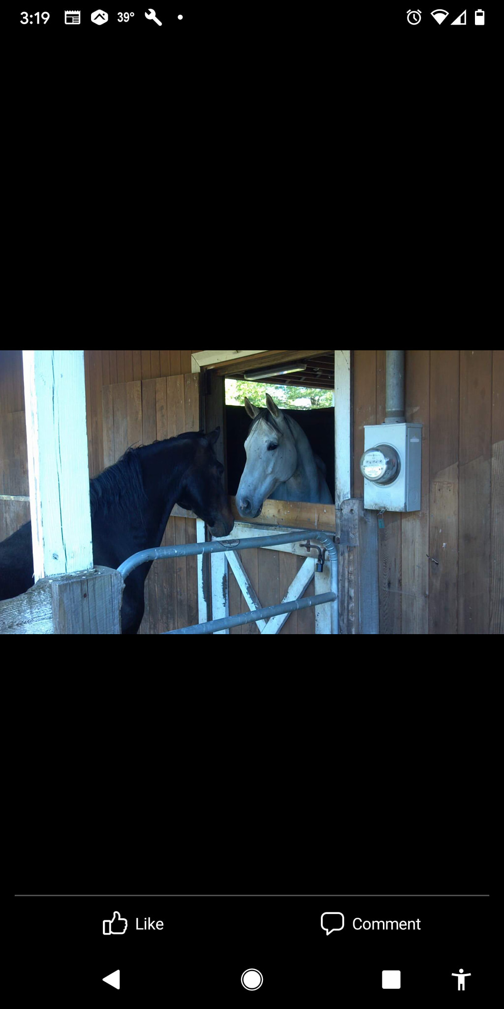 Country Kennels Mountain Top
