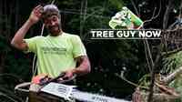 Tree Guy Now