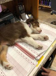 Studio 207 Hairstyling