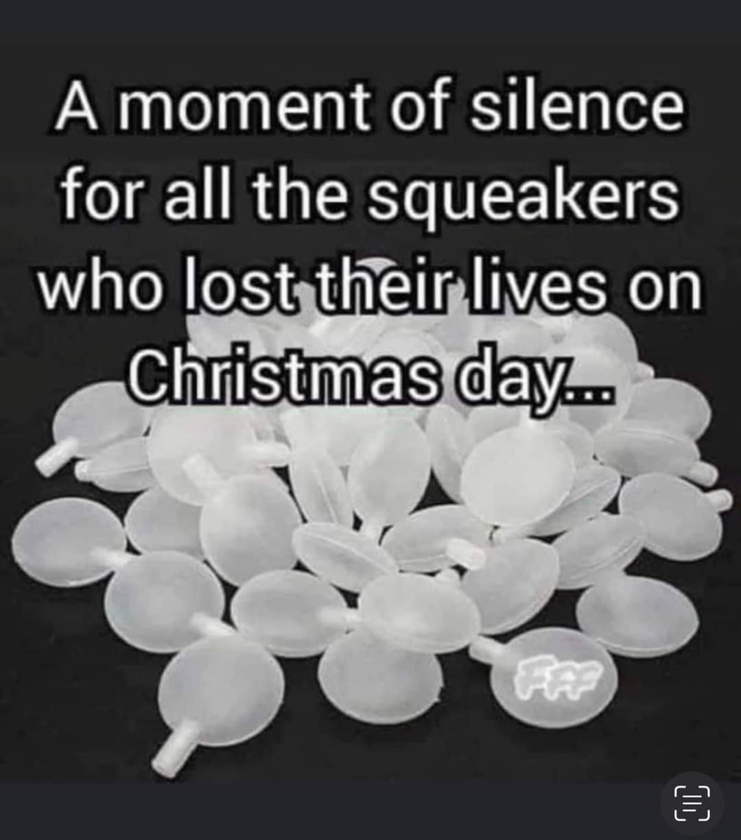 Pretty Pup Spring Grove