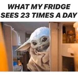 Same Day Service Company Inc