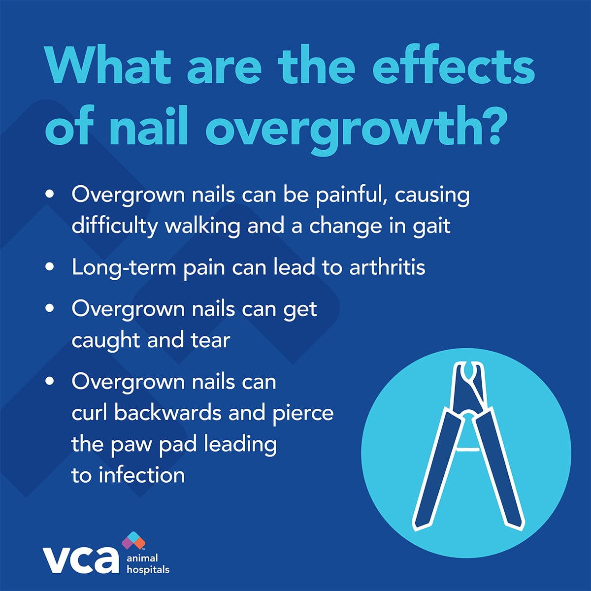 VCA Atwood Animal Hospital: Hopper Amy L DVM Cranston