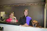 Doggie Depot Pet Grooming for Dogs